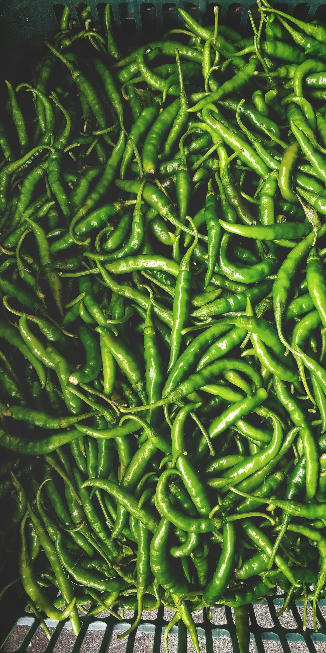 Come LaBaracana rispetta l’ambiente